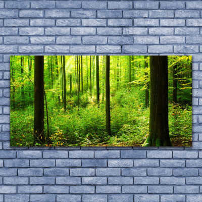 Acrylglasbilder Wandbilder Druck 140x70 Wald Natur