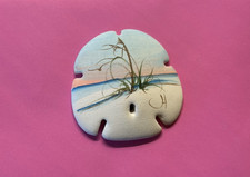 Sand Dollar Real Hand-Painted Beach Scene Signed Vintage