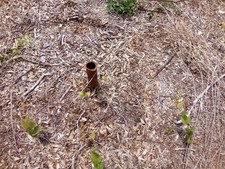 BID ON THE DEED! Affordable LAND St. Johns River, Palatka FLORIDA! w/Water Well!