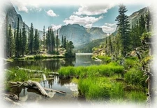 Call of the Wild Lakeview  30x41 inches wide  Hoffman Digital print