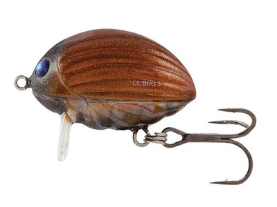 Wobbler Salmo Lil`Bug 2cm, 3cm Forelle Barsch Mini Wobbler Köder NEU FARBEN 2025