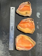 3 slabs Bruneau Jasper Idaho lot, Bruneau Orbicular Jasper for cabochon cutting