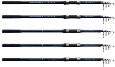 Lineaeffe TS SMART CARP 3,60m 3lbs Teleskop Karpfenrute Angelrute