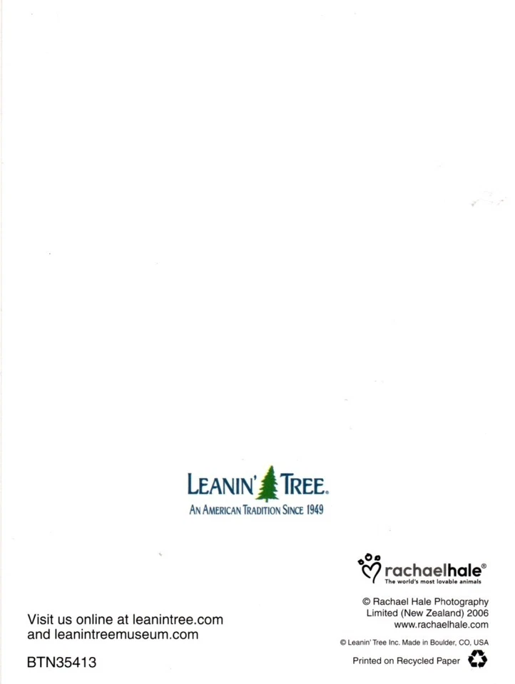 Kitty Cat Kitten Napping On Black Lab Dog Leanin' Tree Blank Cards - Set of 6 - Image 2 of 2