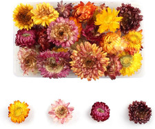 Trockenblumen Deko Trockenblumen Zum Basteln Getrocknete Blumen Schleierkraut Ge