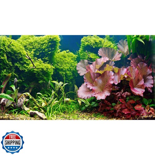 Fish Tank Background Underwater Grass Leaves Pebble Aquarium Background Vivid