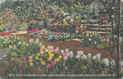 Sarah P. Duke Memorial Gardens Durham NC 1948 Linen Postcard