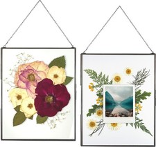 Double Glass Frame for Pressed Flowers, Photos and Artwork - Set of 2 Large H...