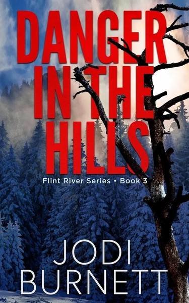 Hidden In The Hills Jodi L Burnett Taschenbuch Kartoniert / Broschiert Englisch-image