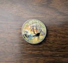 Civil War Colorized Half Dollar - Capture of New Orleans