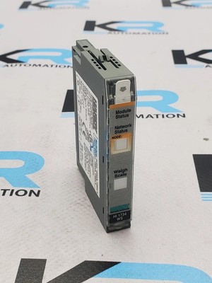 Hardy Process Solutions HI 1734-WS Weigh Scale Module