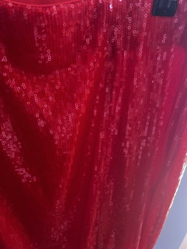 Red Sequin Skirt Brand New - Picture 4 of 4