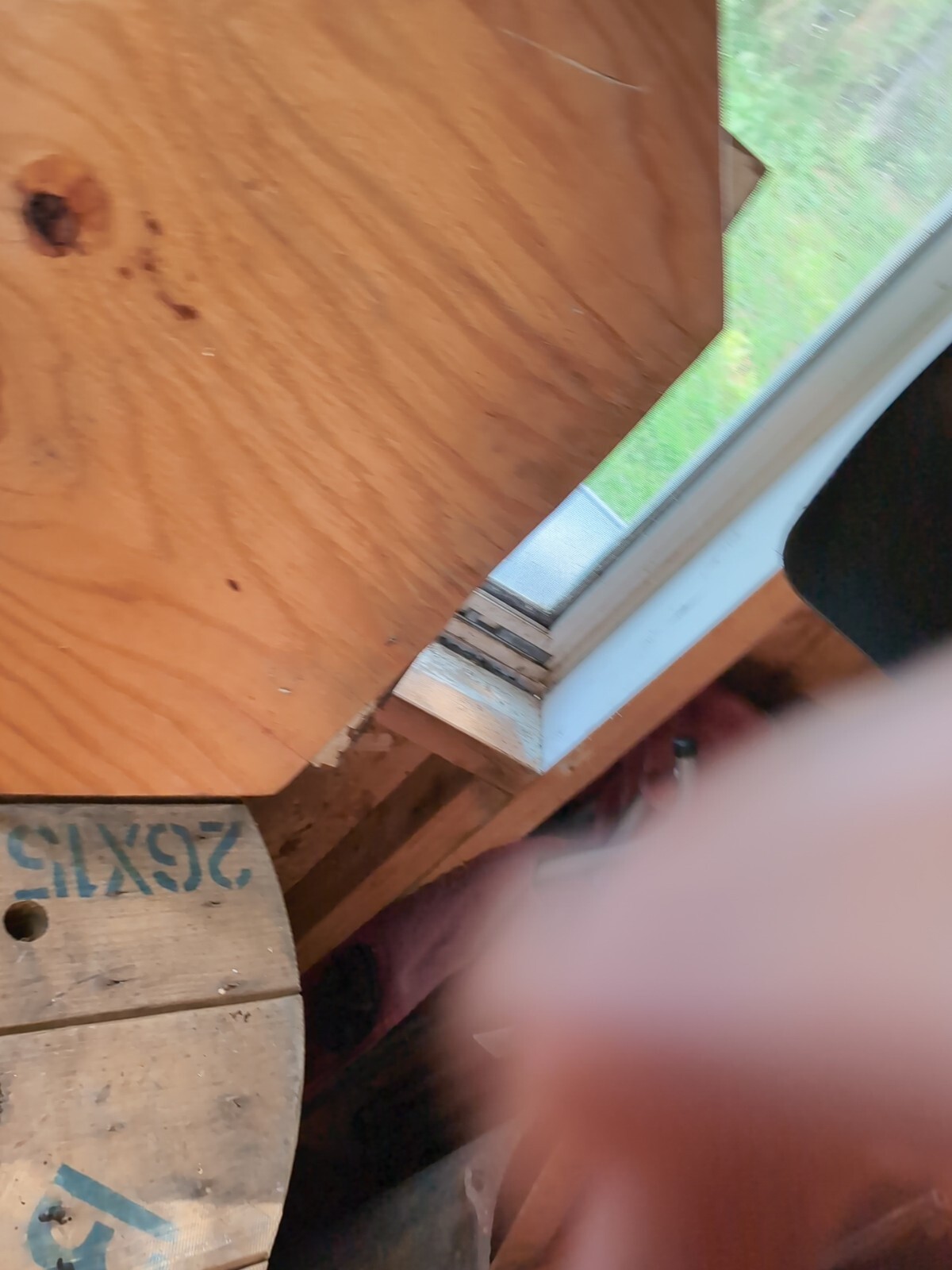 Picture 5 of 5