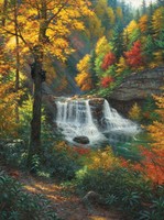 Bear Valley 1000 Pc Jigsaw Puzzle on sale Bear Valley 1000 Pc Jigsaw Puzzle on sale
