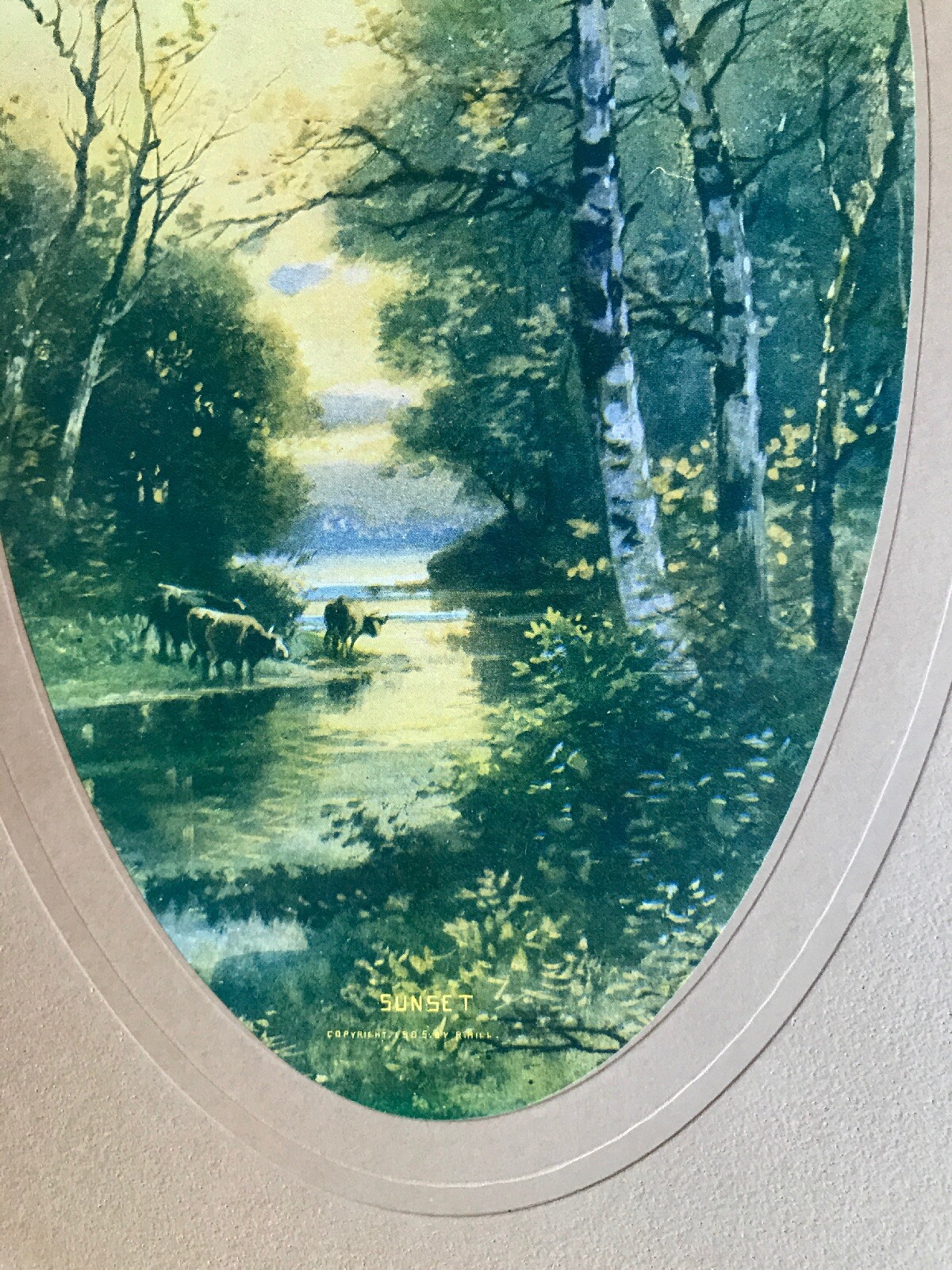 Picture 3 of 5