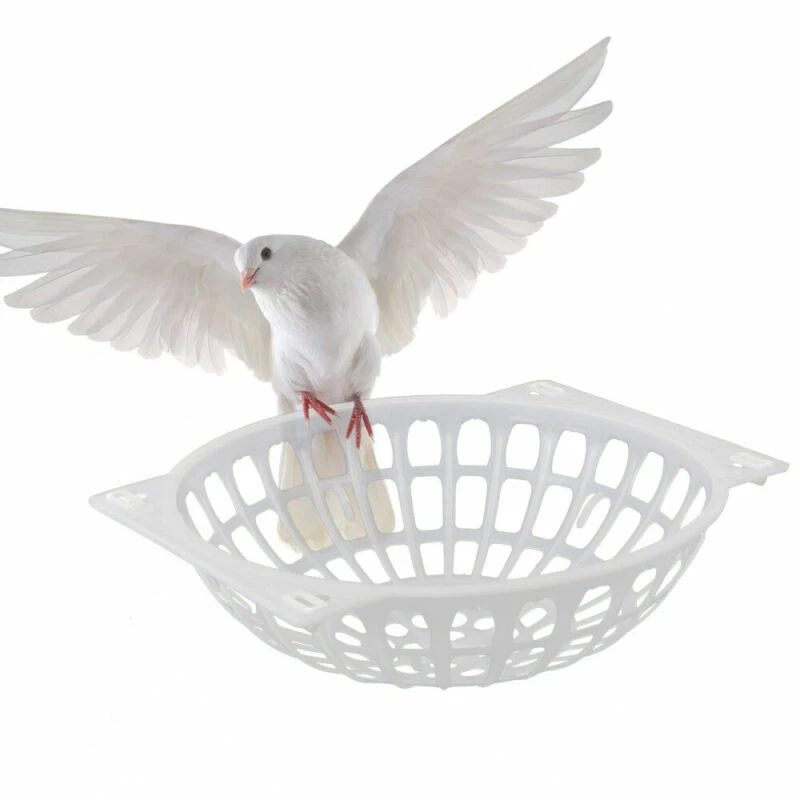 Canary bird cage accessories cheap