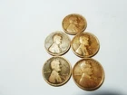 Wheat Penny Lot   1916-1917-1918-1919-1920