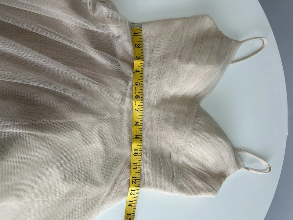 Vestido de Tul Colección Jenny Yoo Desnudo Beige Talla 2 Formal Dama de honor Foto 4 de 4