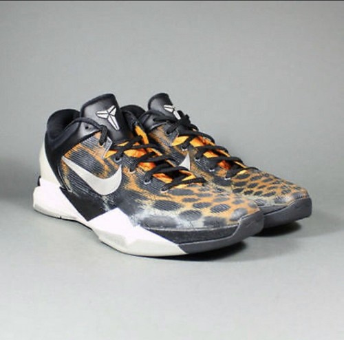 kobe cheetah
