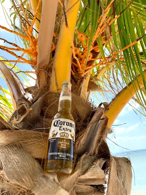12 Flaschen Corona Premium Lager Bier 0,33l