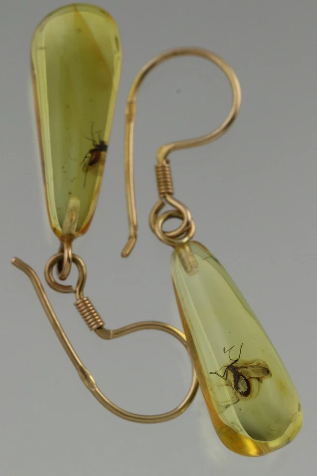 Pendientes colgantes genuinos ámbar báltico oro 14k insectos fósiles 2,1 g 200520-5 Foto 2 de 4