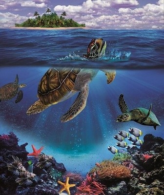 New Honu Sea Turtle Plush Fleece Throw Gift Blanket Sherpa Coral Reef Turtles
