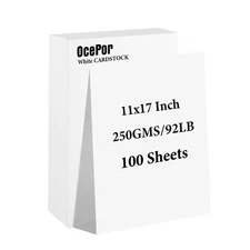 100 Sheets White Cardstock 11” x 17”, 92lb/250gsm Card Stock, Thick Card Stoc...