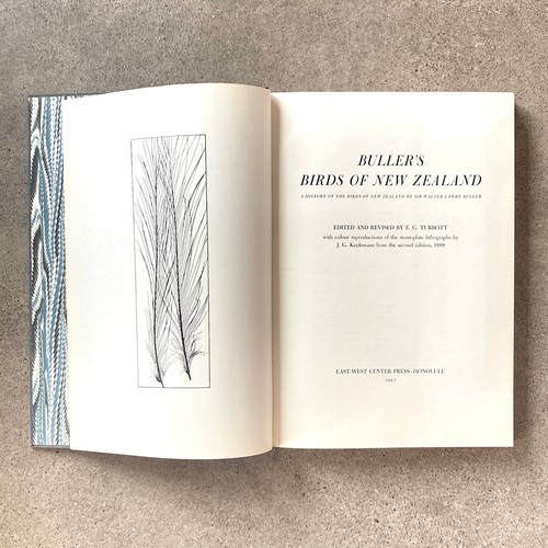 Buller's Birds of New Zealand, by E.G. Turbott, 1967. 48-Superb Color Plates - Picture 2 of 17