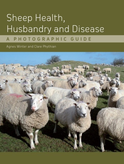 Sheep Health, Husbandry and Disease by Agnes C, B.VSc, PhD, DSHP, MRCVS Winter