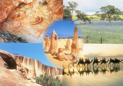 Scenes from Australia --POSTCARD