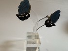Foto 7 di 7