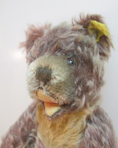 Vintage Antique Teddy Teddy Bear Steiff Zotty 22cm (8) - Picture 2 of 5