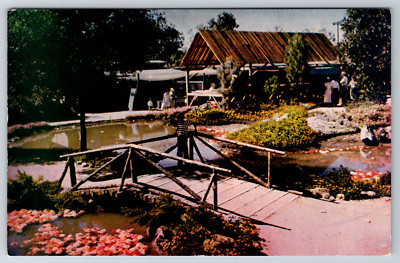 c1960s California State Fair Sacramento Outdoor Flower Exhibit Sutter's Mill