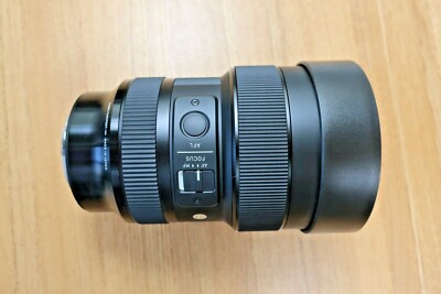 Sigma Objektiv 14 24 mm f/2,8 DG DN Art L-Halterung