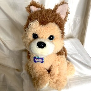 woofles my playful puppy