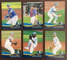 2023 Myrtle Beach Pelicans SINGLE CARDS from Team Card Set - CHOOSE YOUR PLAYER