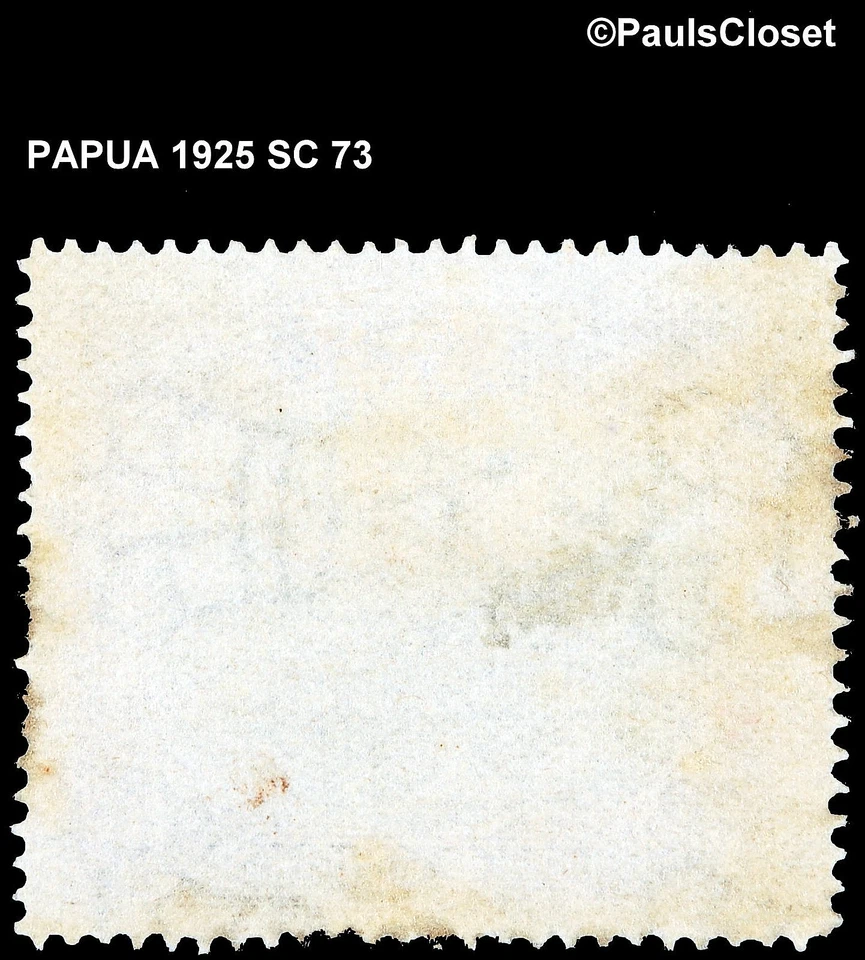 PAPUA NUEVA GUINEA 1925 SC 73 LAKATOI GRIS AZUL Y VERDE 10/- USADO F/VF Foto 2 de 2