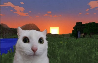 Funny Cat Minecraft World Sunset Gaming Art Poster
