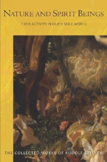 Nature and Spirit Beings: Their Activity in our Visible World: 98 (THE COLLECTED WORKS OF RUDOLF STEINER) - Image 2