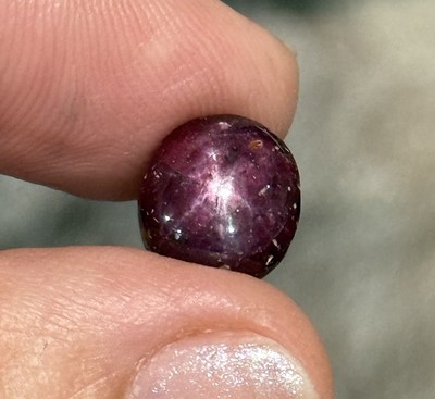 9.85ct 11c10x7.5mm Dark Red 6 Ray Star Ruby Oval Cabochon Ring Gem