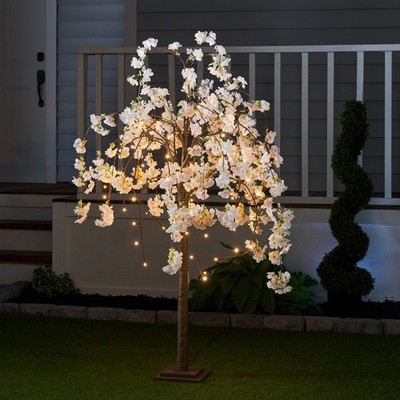 mini palm tree indoor plant Large Lady Palm Houseplant with Planter - Large (3-4' tall) Top Half White Planter