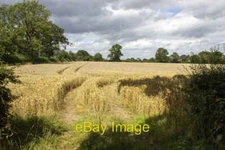 Photo 6x4 Field off Manor Lane Haseley Knob  c2021