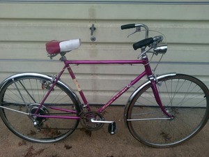 schwinn varsity