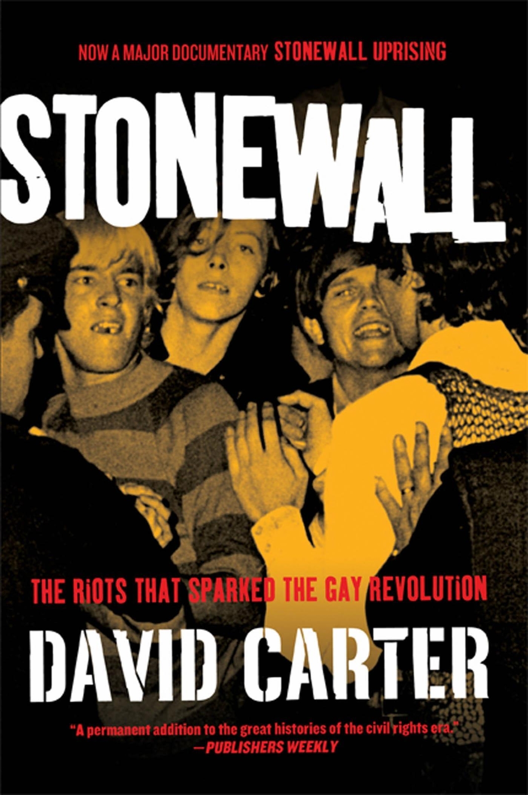Thumbnail - Stonewall | The Riots That Sparked The Gay Revolution | David Carter |