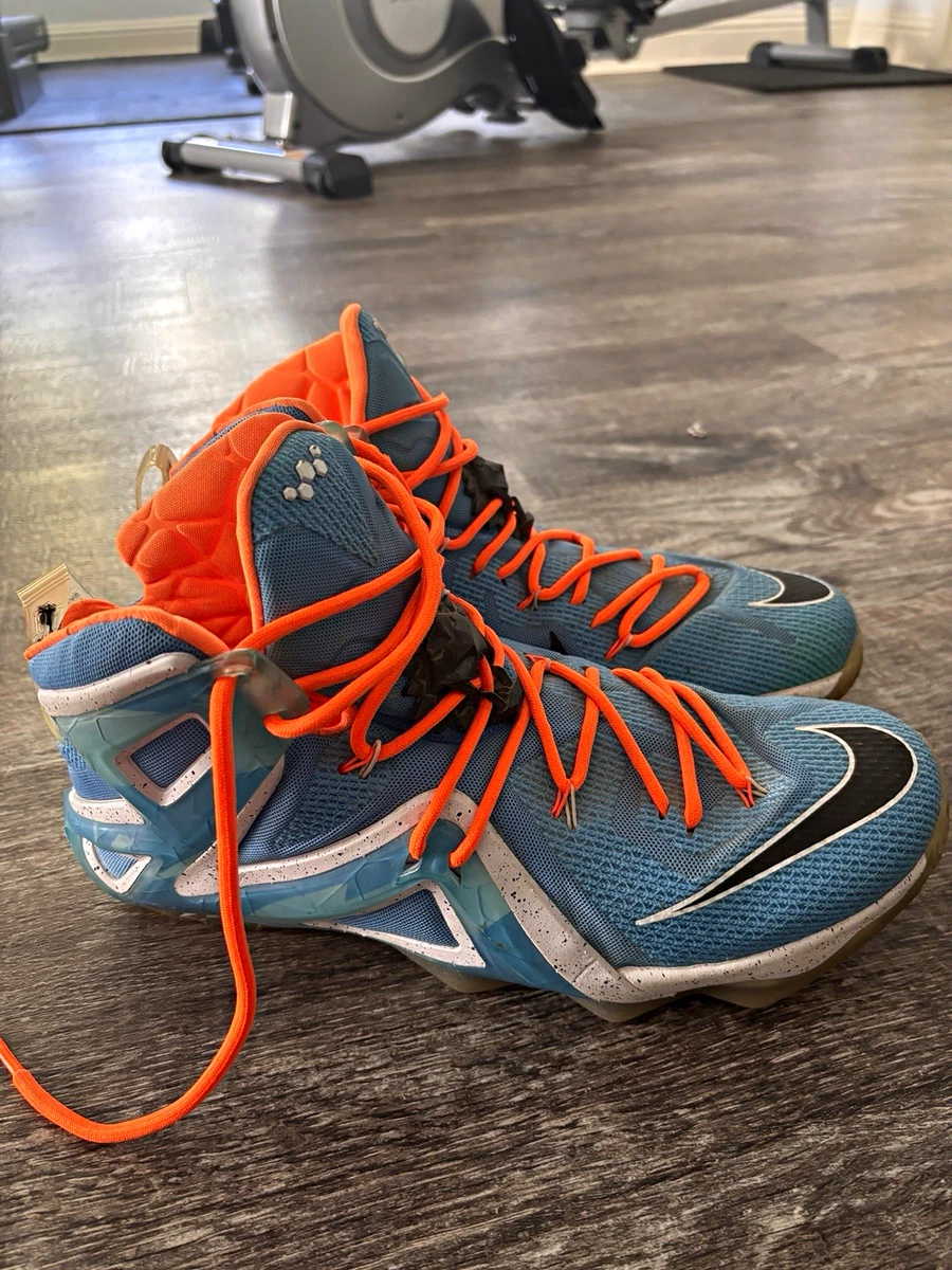 Nike LeBron XII Men's Sneakers for Sale | Authenticity Guaranteed