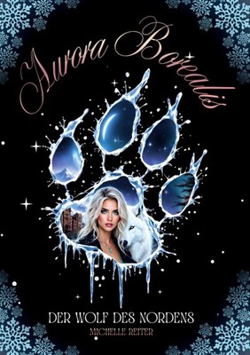 Aurora Borealis: Mitreißende und romantische Dark Fantasy Trilogie Michelle Reit