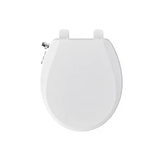 Bidet Toilet Seat, Soft Close Round Toilet Seat, Button control Fem... Fast Ship