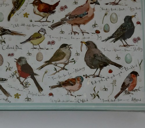 Madeleine Floyd BIRD Puzzle 1000 Pieces Variety of Birds Egg Madeleine Floyd NEW - Imagen 5 de 10