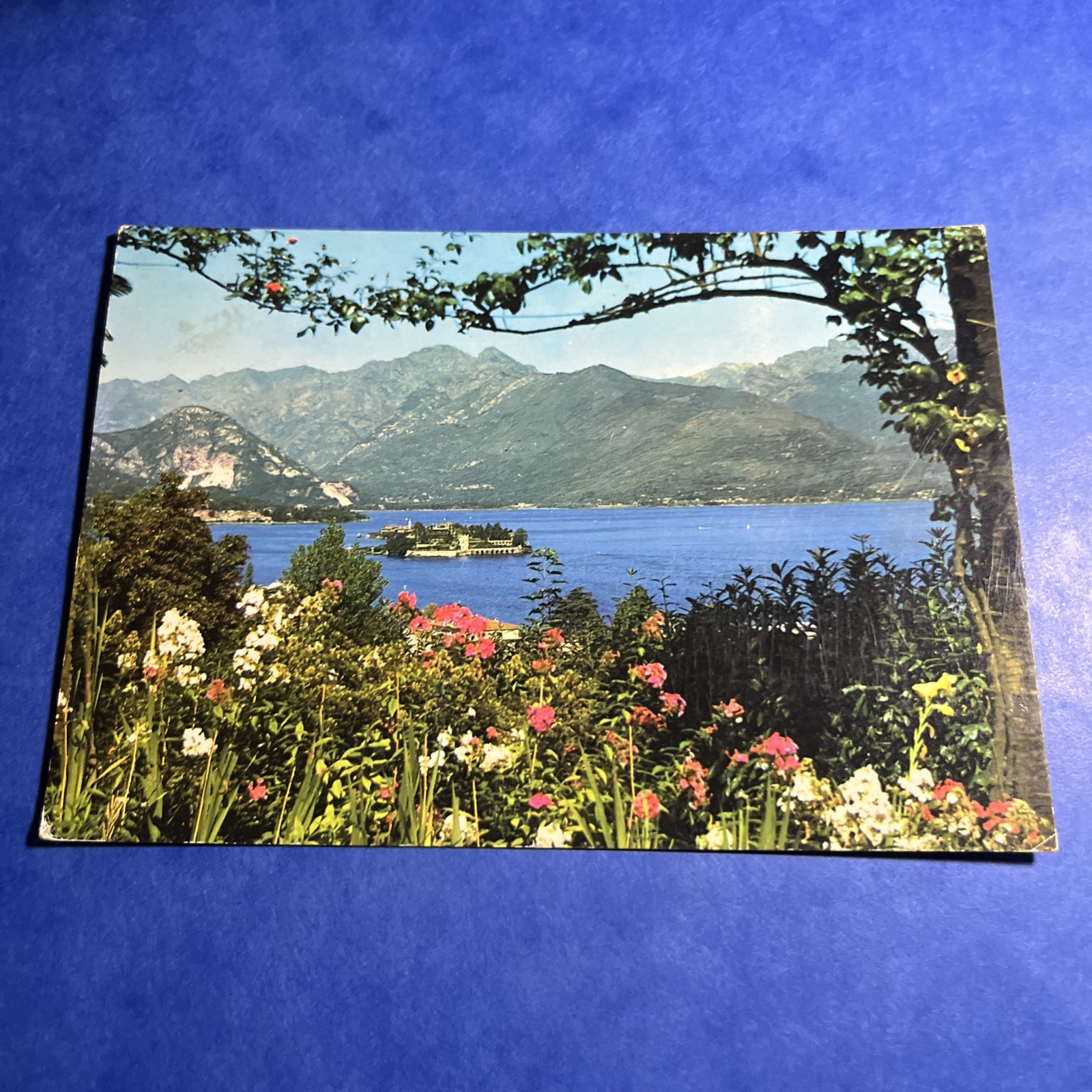 LAGO MAGGIORE - PANORAMA  CARTOLINA A COLORI VIAGGIATA VINTAGE COLLEZIONE