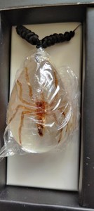 Scorpion Specimen Pendant Necklace w/ Black Cord in Gift Display Box